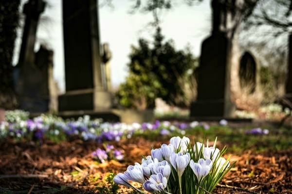 Hauptfriedhof als kultureller Ort