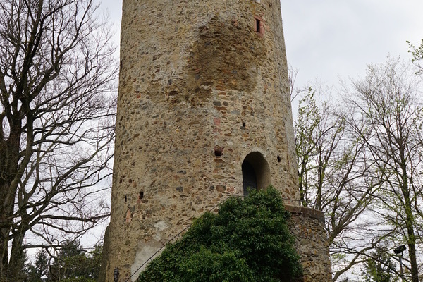 Wiedererffnung der Zhringer Burg  gemeinsamer Erfolg fr Freiburg